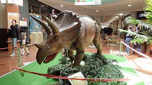 99 toulon carrefour Mayol  (1)